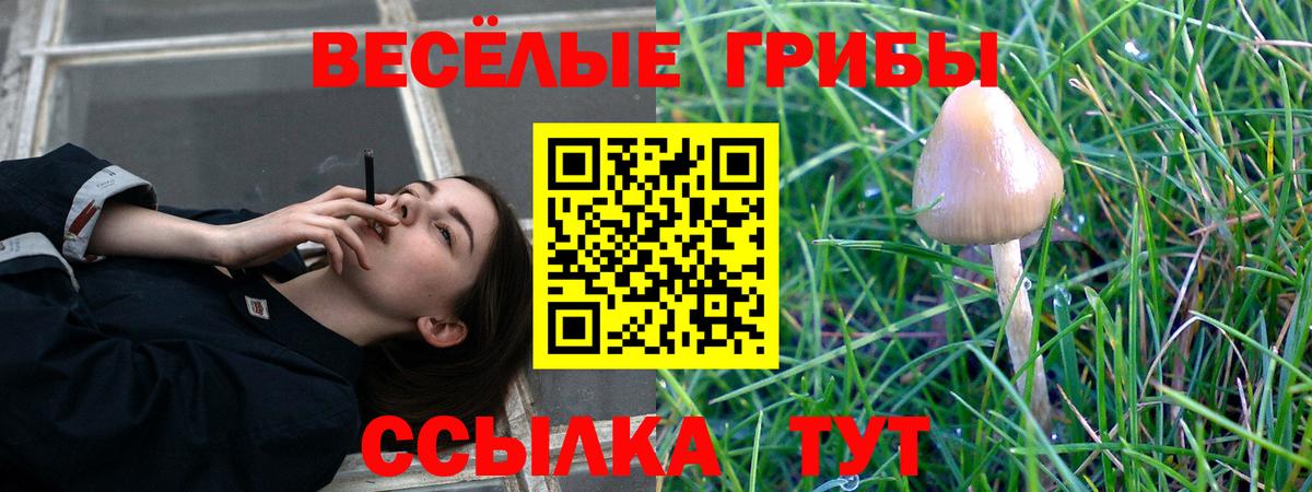 Галлюциногенные грибы MAGIC MUSHROOMS Черняховск